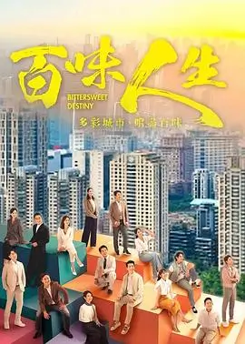 tvb电视剧 寻秦记 穿越权谋剧海报